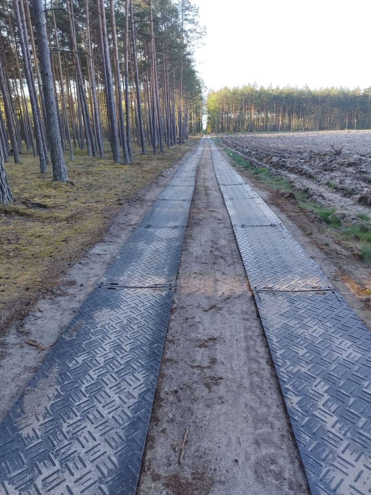 Erdei nyomsáv