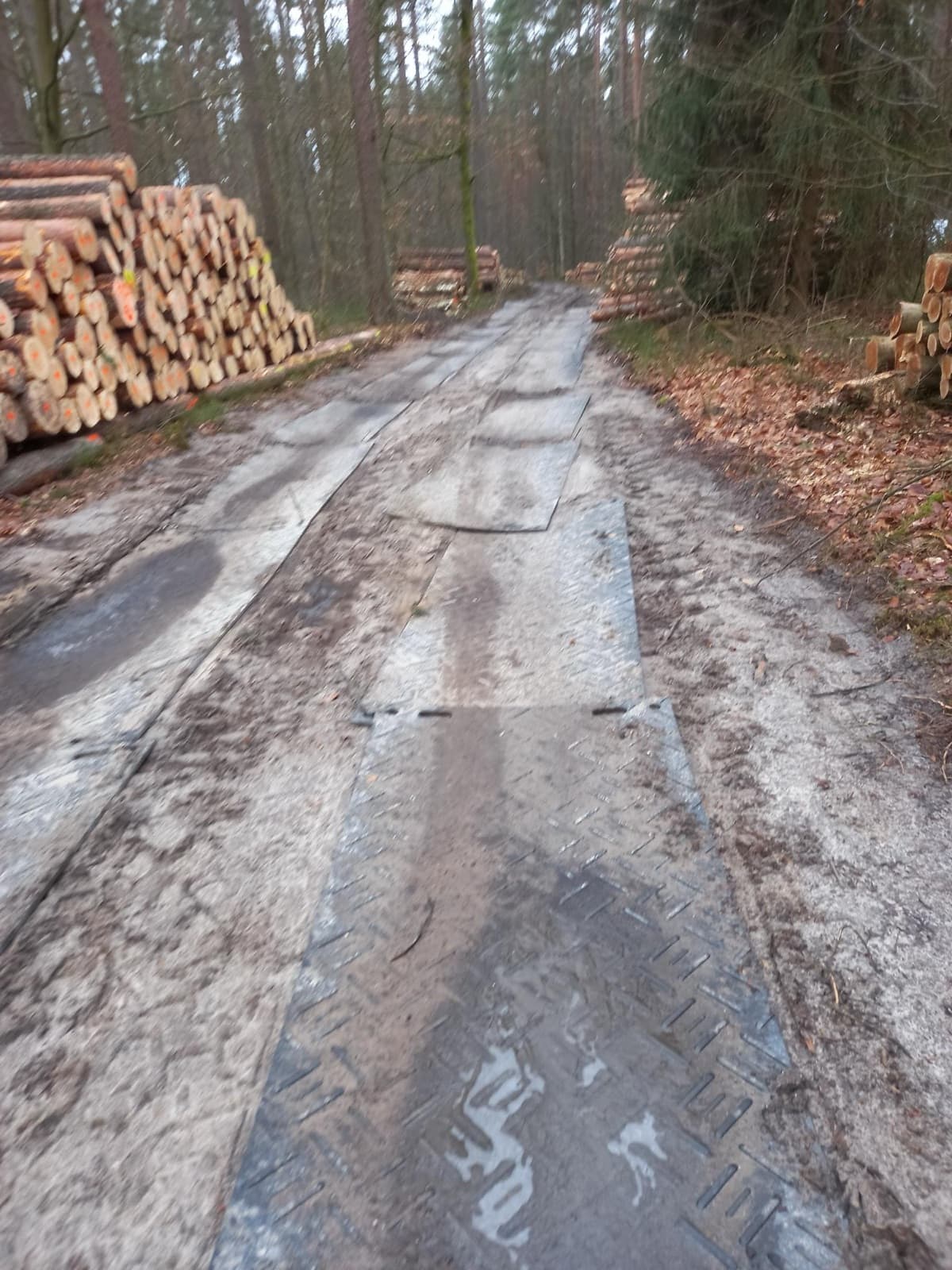 Mobil útszőnyeg erdészeti úton, rönkdepó mellett